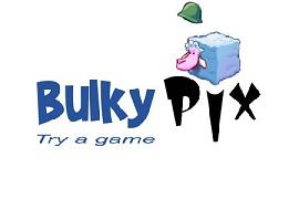 Bulkypix